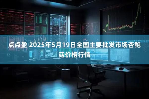 点点盈 2025年5月19日全国主要批发市场杏鲍菇价格行情