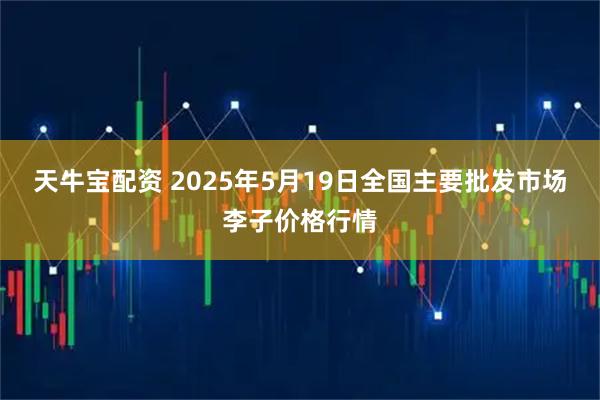 天牛宝配资 2025年5月19日全国主要批发市场李子价格行情
