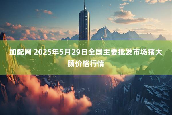 加配网 2025年5月29日全国主要批发市场猪大肠价格行情