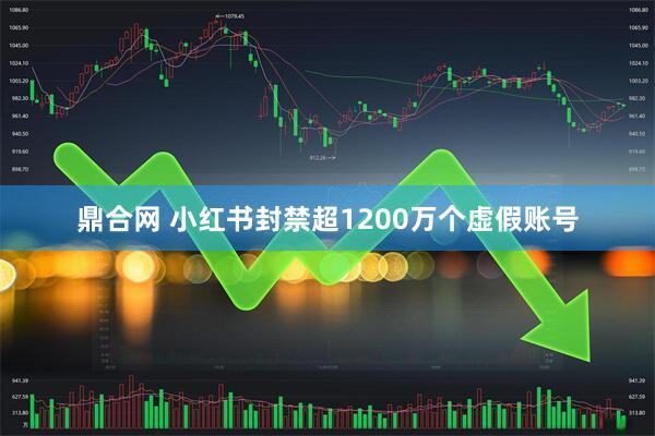 鼎合网 小红书封禁超1200万个虚假账号