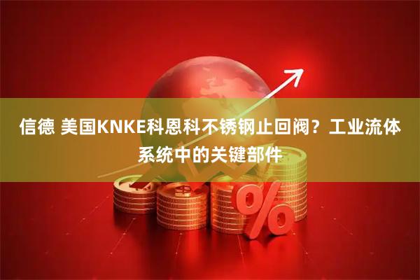 信德 美国KNKE科恩科不锈钢止回阀？工业流体系统中的关键部件
