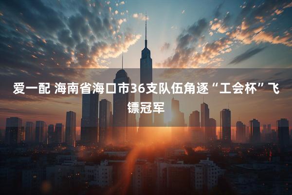 爱一配 海南省海口市36支队伍角逐“工会杯”飞镖冠军